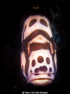 do you like my lips by Marc Van Den Broeck 